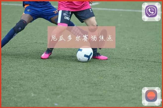 厄瓜多尔赛场焦点