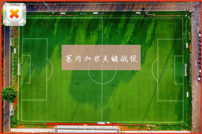 塞内加尔关键战役