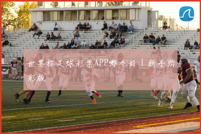 世界杯足球彩票APP哪个好｜新手购彩版