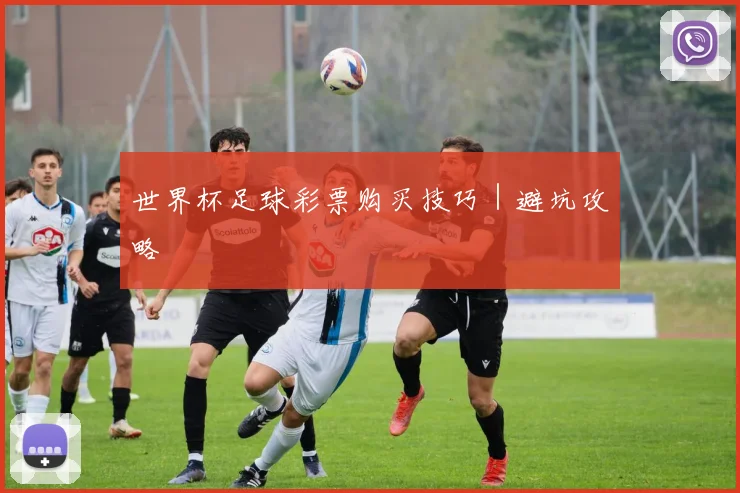 世界杯足球彩票购买技巧｜避坑攻略