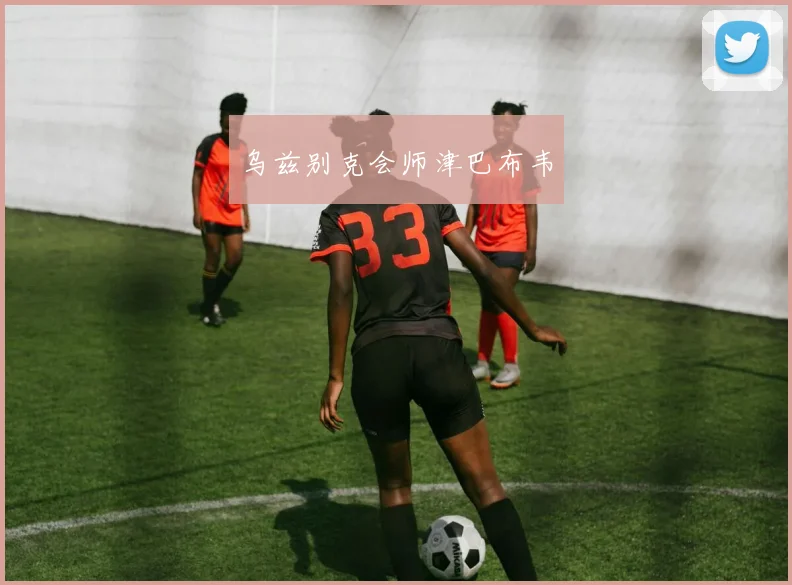 乌兹别克会师津巴布韦