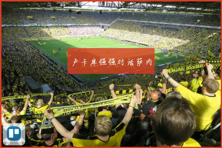 卢卡库强强对话萨内
